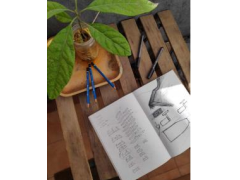 AHEC携手《Wallpaper*》呈现“Discovered”项目