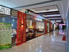 吉洲吉星(高力国际家居港)